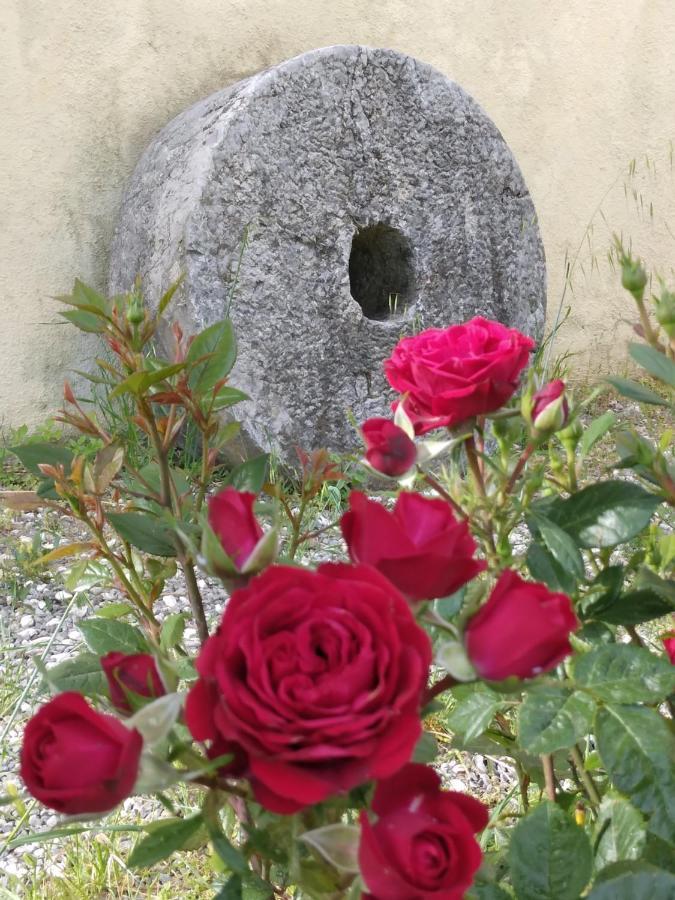 Il Giardino Di Julia B&B Tortora Eksteriør bilde