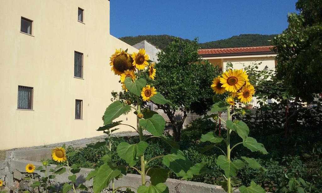 Il Giardino Di Julia B&B Tortora Eksteriør bilde