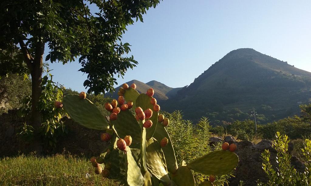 Il Giardino Di Julia B&B Tortora Eksteriør bilde