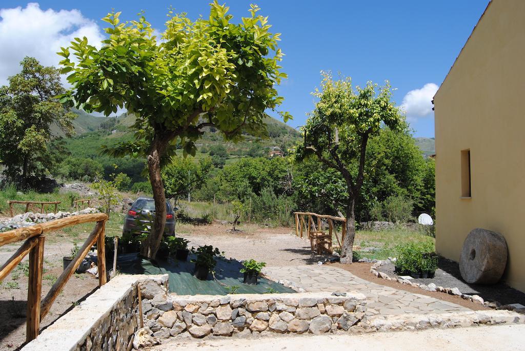 Il Giardino Di Julia B&B Tortora Eksteriør bilde