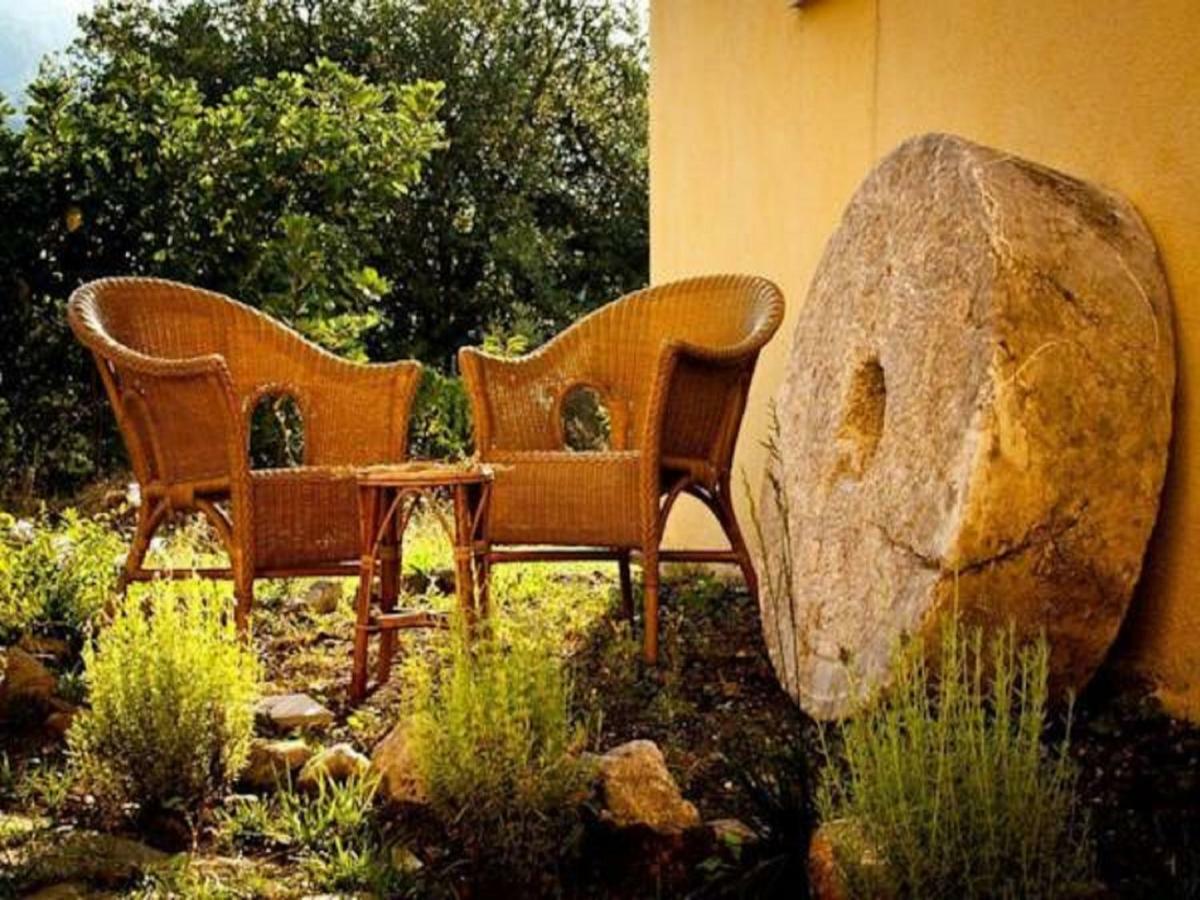 Il Giardino Di Julia B&B Tortora Eksteriør bilde