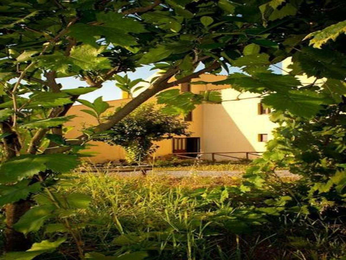 Il Giardino Di Julia B&B Tortora Eksteriør bilde