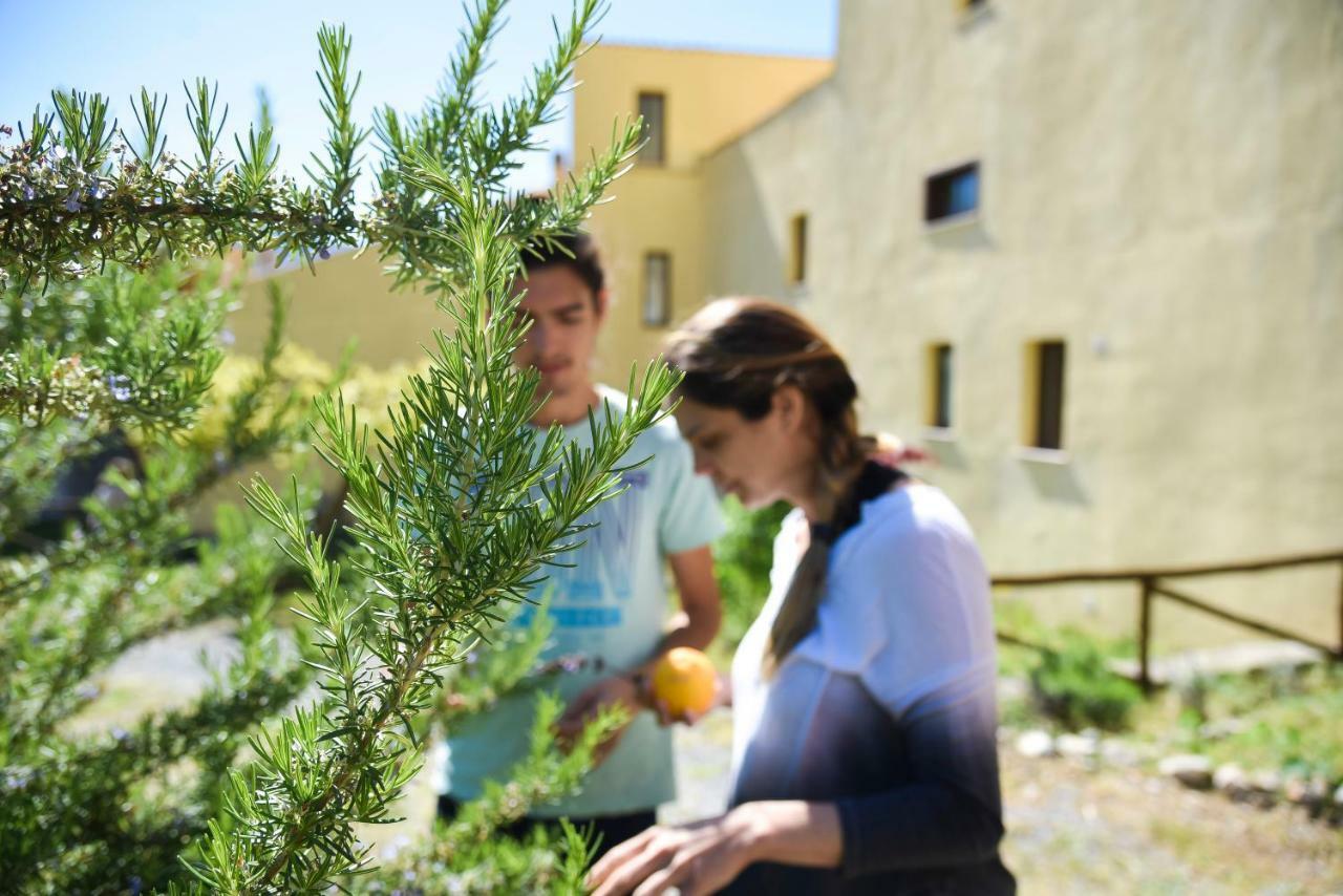 Il Giardino Di Julia B&B Tortora Eksteriør bilde