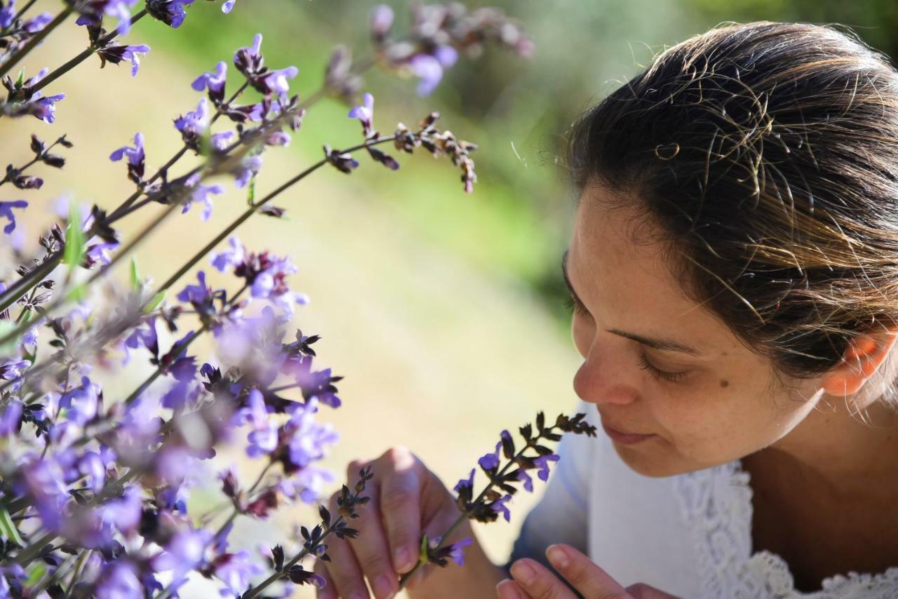 Il Giardino Di Julia B&B Tortora Eksteriør bilde