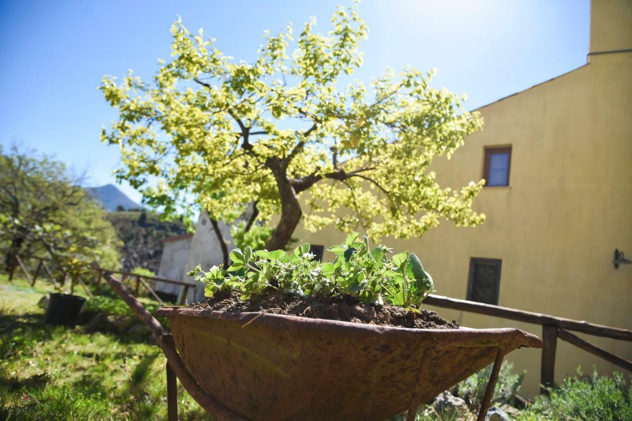 Il Giardino Di Julia B&B Tortora Eksteriør bilde