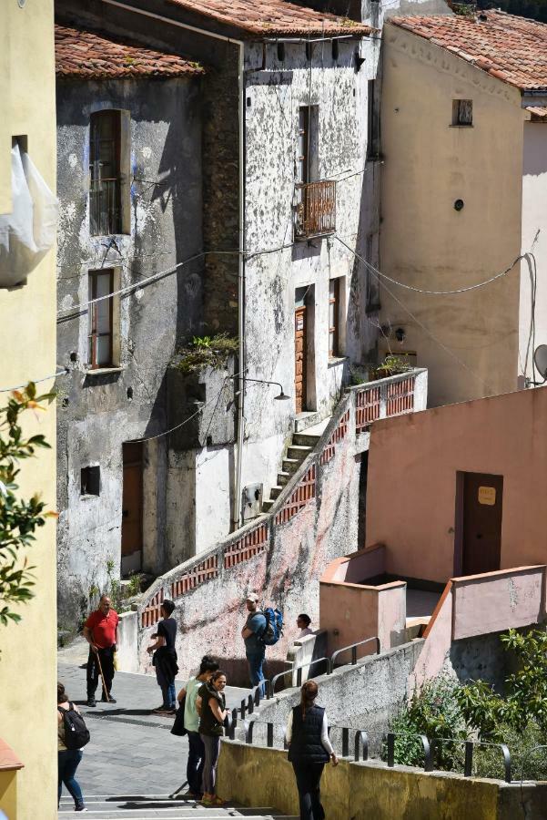 Il Giardino Di Julia B&B Tortora Eksteriør bilde