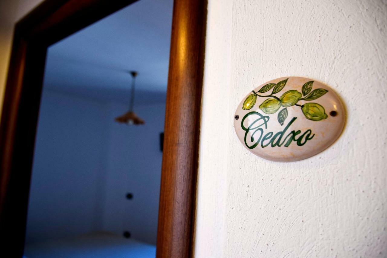 Il Giardino Di Julia B&B Tortora Eksteriør bilde